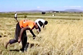 إنتاج الأرز الهجين الصيني يسجل رقما قياسيا في أفريقيا