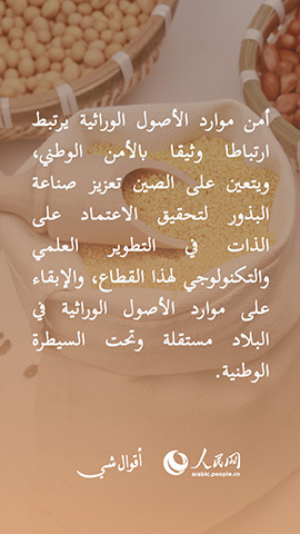 الرئيس الصيني شي جين بينغ يشدد على وضع تحسين قدرة الإنتاج الزراعي الشاملة في مكانة أكثر بروزا